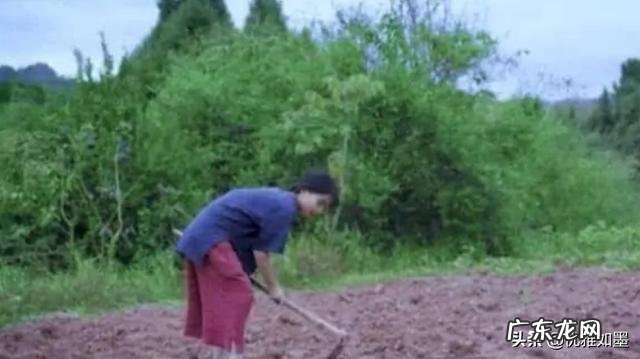 网红日收入万元是真的吗?