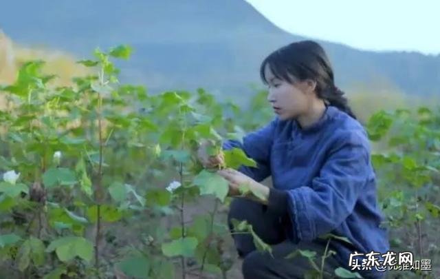 网红日收入万元是真的吗?