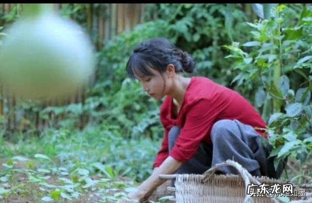 网红日收入万元是真的吗?