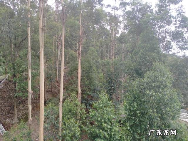 有奖活动：世界战争史上都有哪些不可思议的神操作？