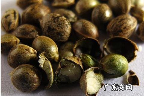 被吹爆的生酮饮食,真的安全吗?