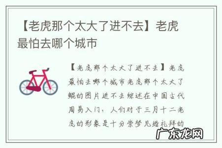 【老虎那个太大了进不去】老虎最怕去哪个城市