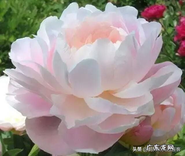 中年女人如何锻炼腹肌，达到减肥目的