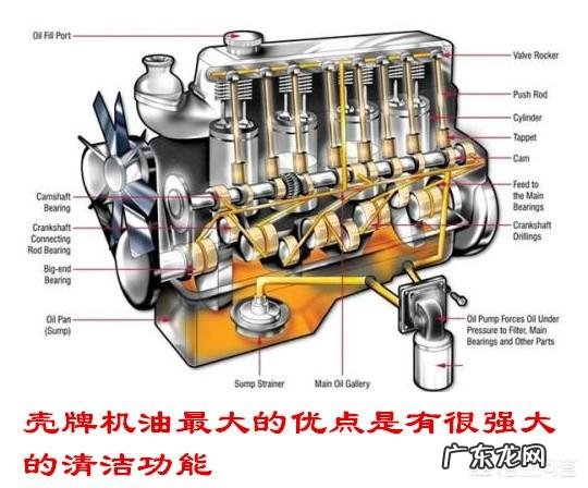 明星汪涵代言广告涉嫌诈骗230亿元,你支持对他起诉赔偿吗