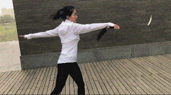 中国武术和舞蹈是怎样的关系? 关于武术的舞蹈