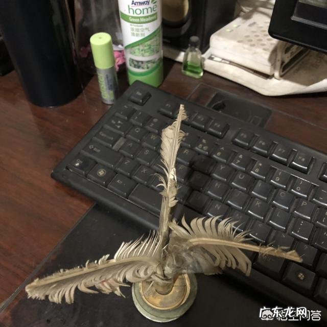 想减肥,有什么不花钱的好方法吗? 健身新手不花钱怎么减肥