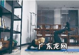 练了三天卷腹轮,腹部疼得厉害,坚持练这个真的能练出马甲线吗? 卷腹轮跪姿和站姿更能练出腹肌