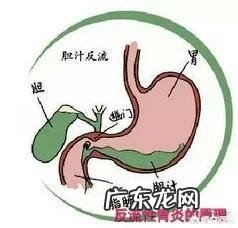 喝普洱茶真的对身体健康有好处吗?