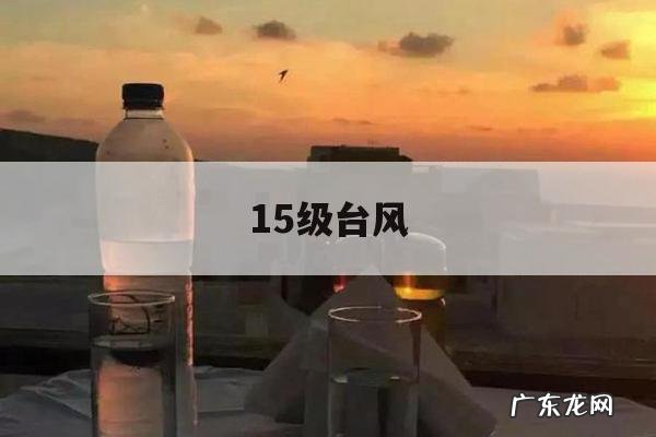 15级台风,15级台风登陆广东 有市民游泳出行