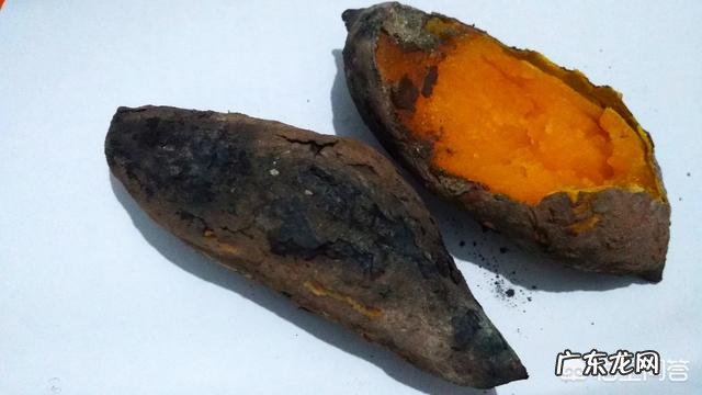 紫薯价格比红薯高很多,为什么没有大面积种植呢?