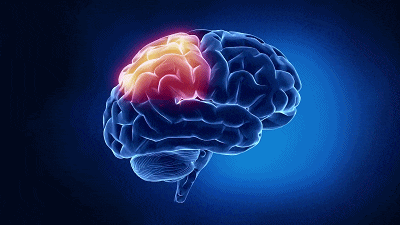 人体器官排毒时间表有没有科学原理