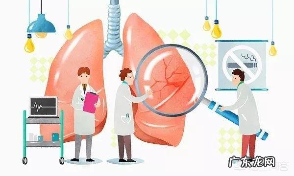 人体器官排毒时间表有没有科学原理