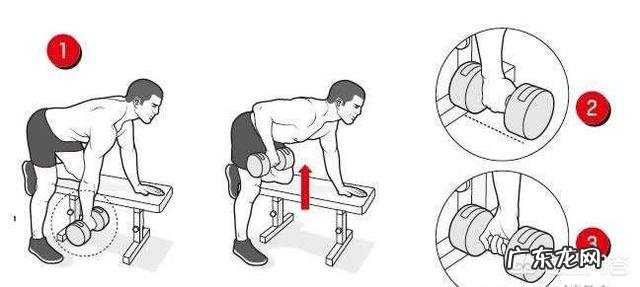 女士哑铃可以全身塑形吗?减脂? 减脂运动全身哑铃