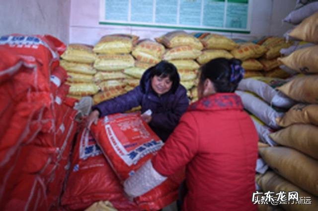 不合格化肥被查!农民买农资如何防被骗?