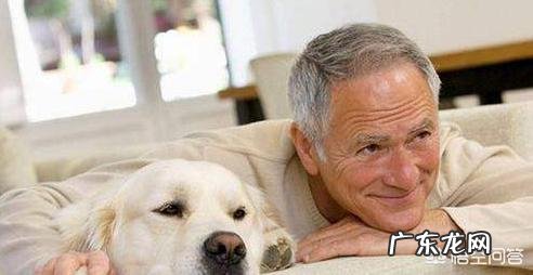 如何给10岁的老狗狗减肥?