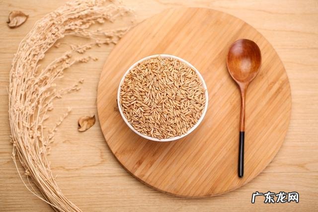 为了减肥我煮了三年燕麦粥,今天才知道还有更有效的吃法