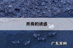 开房的诱惑的简单介绍