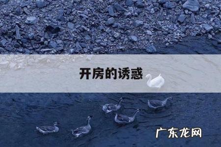 开房的诱惑的简单介绍