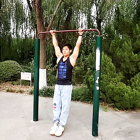 39岁身体偏胖,俯卧撑,引体,健腹轮,深蹲,怎么组合锻炼最好