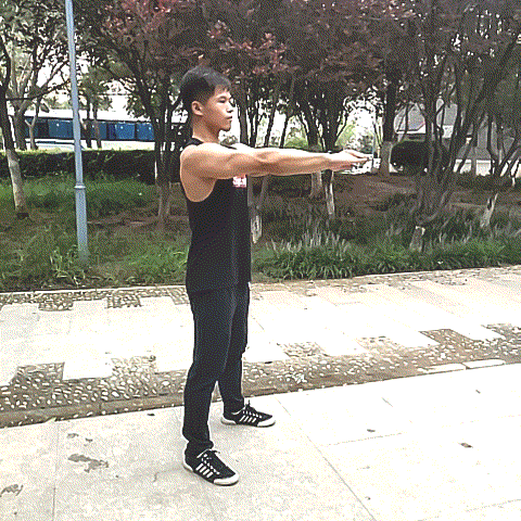 39岁身体偏胖,俯卧撑,引体,健腹轮,深蹲,怎么组合锻炼最好