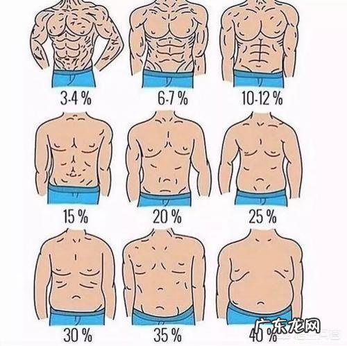 减脂到什么状态可以开始塑型?
