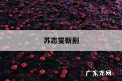 苏志燮新剧，苏志燮新剧Dr