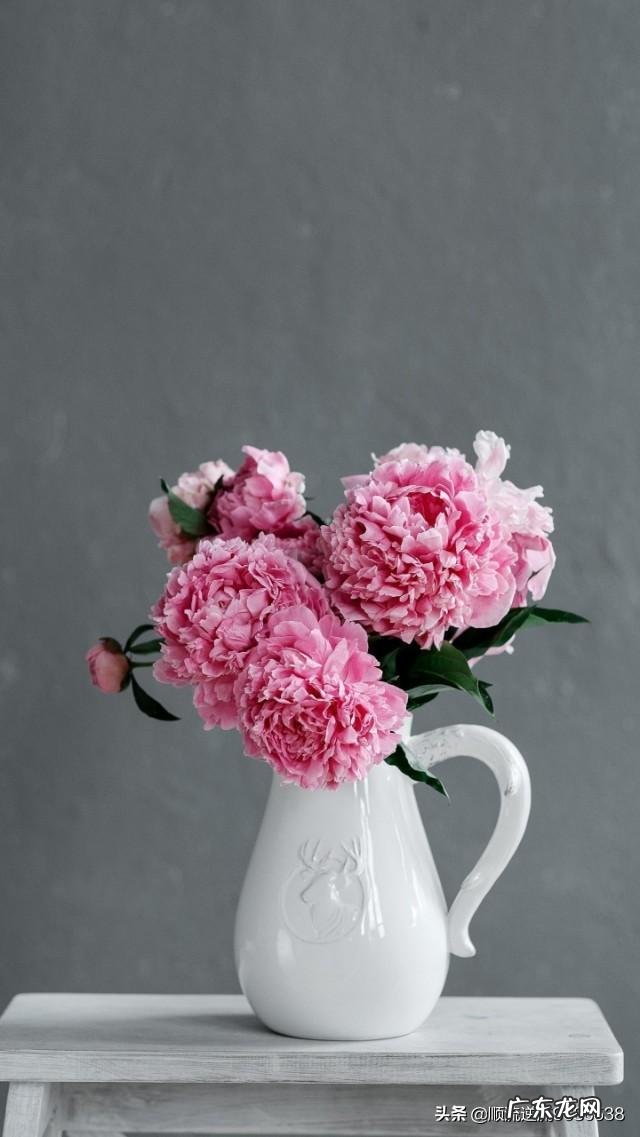 产后脱发什么时候会停止?不母乳的话会不脱发吗?