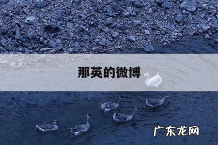 那英的微博,那英的微博截图