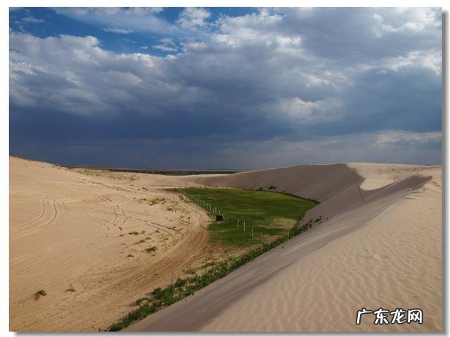 学习语文最好的方法是什么?