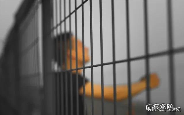 “监狱奇才”李红涛,多次越狱,死刑执行前,逆天改命,真的吗?