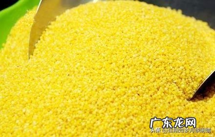 黑小米和黑米是一种东西吗?