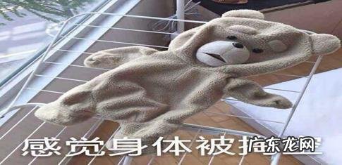 人如果不吃东西正常喝水,多久开始分解内脏器官?