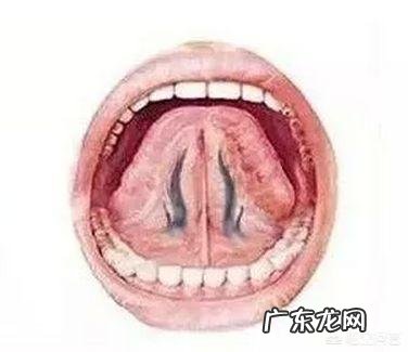 癌细胞无法入侵心脏吗为什么