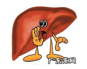 经常应酬喝酒肝脏不舒服,吃什么比较好?