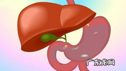 经常应酬喝酒肝脏不舒服,吃什么比较好?