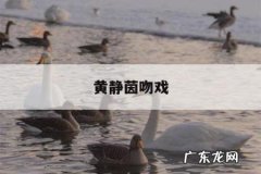 黄静茵吻戏，黄静茵车内强吻