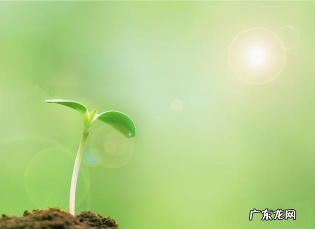 自己对心理咨询的认识及看法 对于心理咨询的正确理解