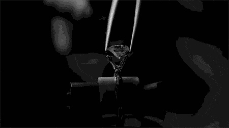 钻石4C是什么?一克拉钻戒多少钱?