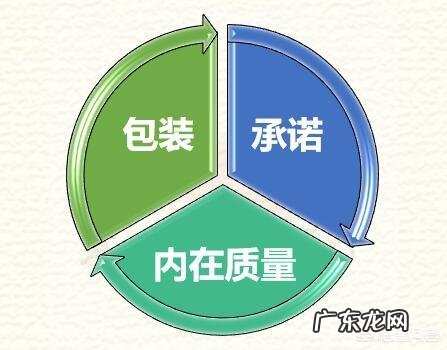 产品被用户退货,销售需要总结什么内容?