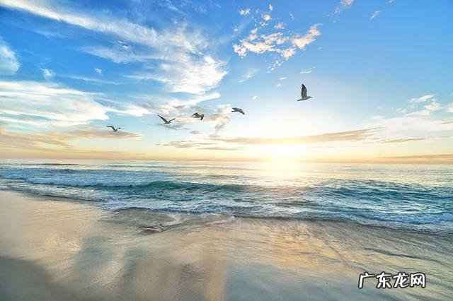 心理咨询计划怎么制定 如何确立心理咨询案例的咨询目标