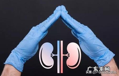 多喝水会减缓慢性肾病患者肾功能下降吗？