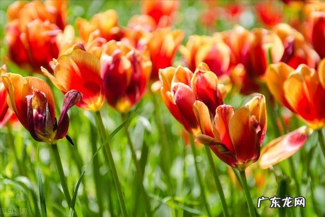 秋瓷炫、于晓光的现状怎么样