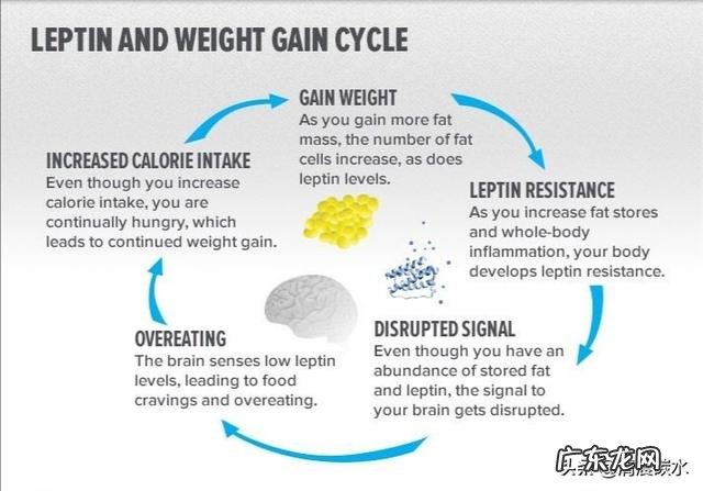少吃糖真的可以延缓衰老并且能够有效减肥吗?