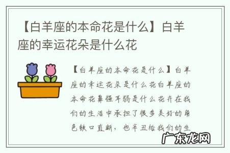 【白羊座的本命花是什么】白羊座的幸运花朵是什么花
