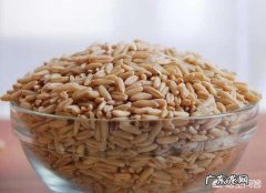 减肥餐中的燕麦片是哪种？