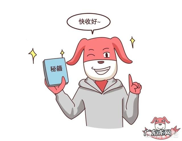 奶白汤真的如想象中那么营养吗?