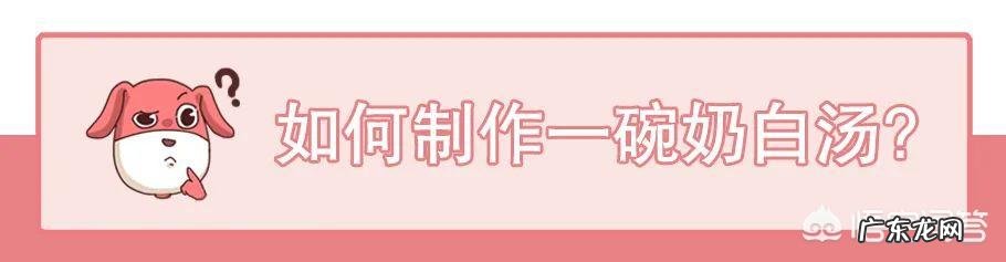 奶白汤真的如想象中那么营养吗?