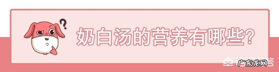 奶白汤真的如想象中那么营养吗?