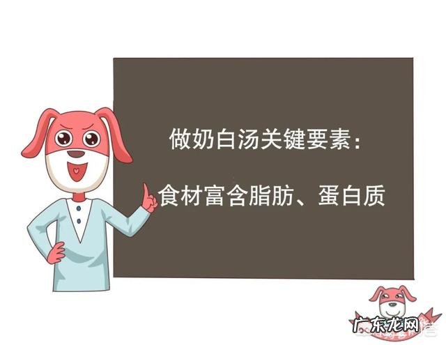 奶白汤真的如想象中那么营养吗?