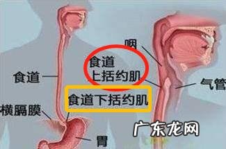 食管反流病胃酸多，能多喝水吗？平时注意哪些问题有助于改善？